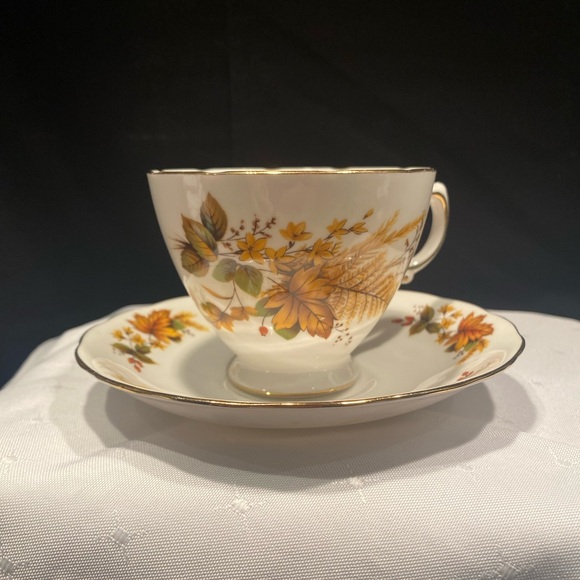 Queen Anne Teacup and Saucer, Ridgway Potteries,Fall Autumn, English Bone China - Picture 2 of 9